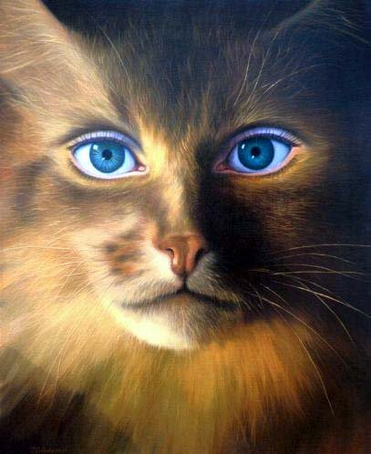 Gatti (102)